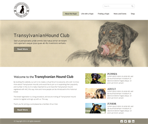 Web Design by OM for S.T.I.L. Consulting | Design: #3720441