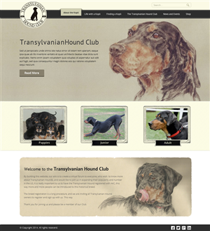 Web Design by OM for S.T.I.L. Consulting | Design: #3720447