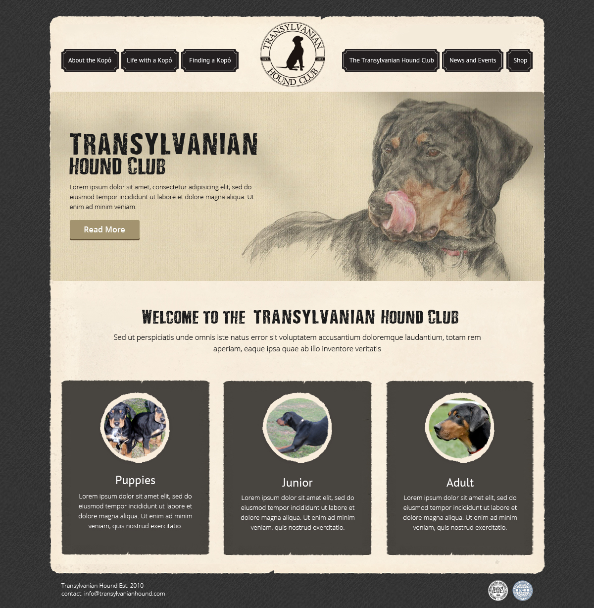 Web Design by OM for S.T.I.L. Consulting | Design #3720451