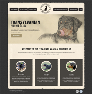 Web Design by OM for S.T.I.L. Consulting | Design: #3720451