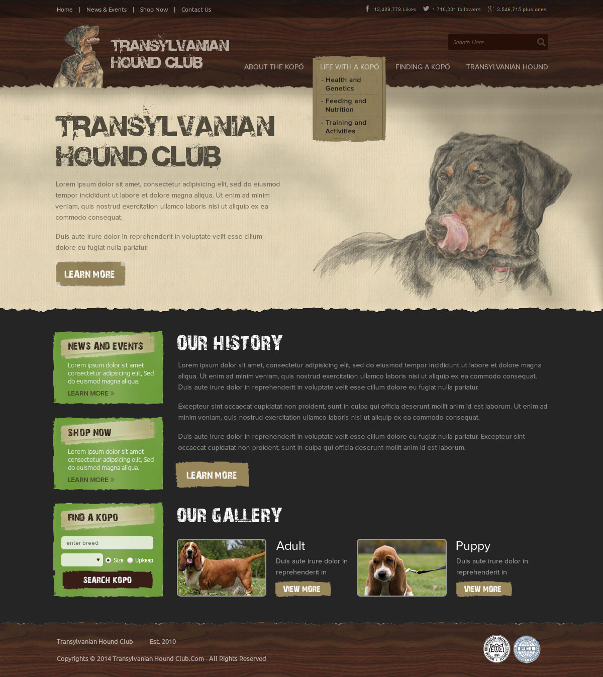 Web-Design von OM für S.T.I.L. Consulting | Design #3758835