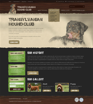 Web Design by OM for S.T.I.L. Consulting | Design: #3758835