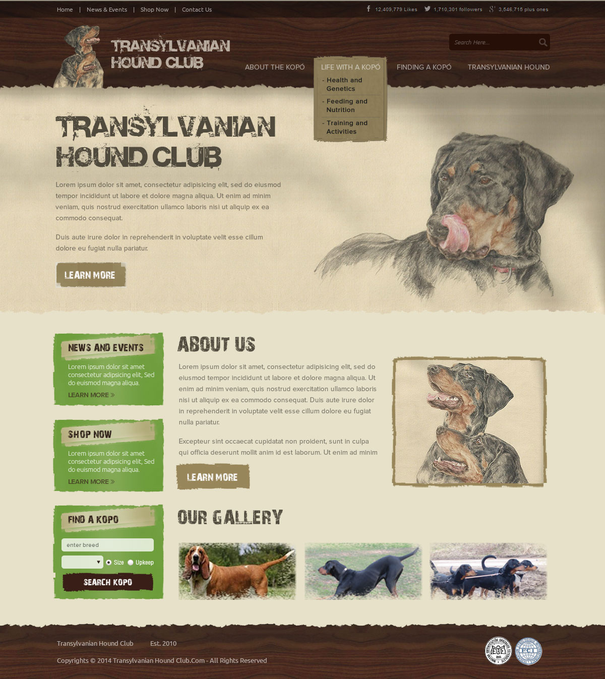 Web Design by OM for S.T.I.L. Consulting | Design #3758837