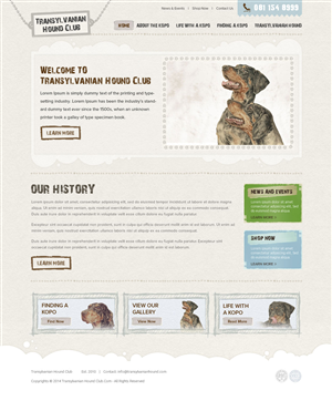 Web Design by OM for S.T.I.L. Consulting | Design: #3758844