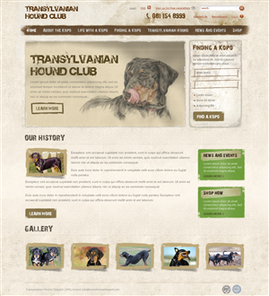 Web Design by OM for S.T.I.L. Consulting | Design: #3758854