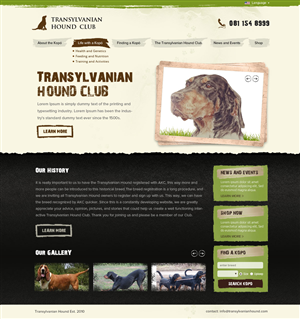 Web Design by OM for S.T.I.L. Consulting | Design: #3758859