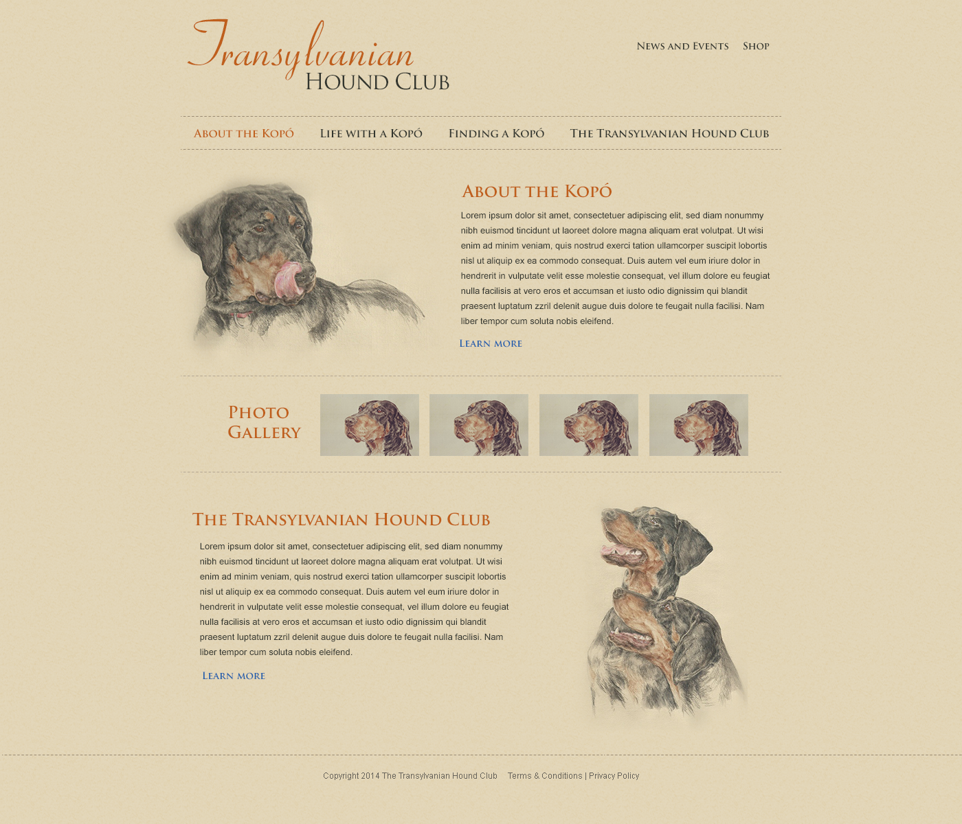 Web Design by yadunath for S.T.I.L. Consulting | Design #3922584