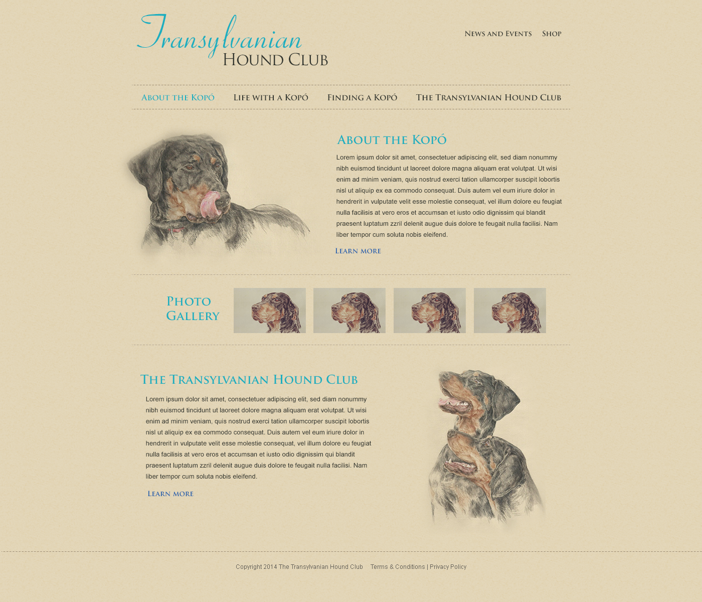 Web Design par yadunath pour S.T.I.L. Consulting | Design #3922591