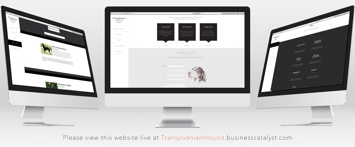 Web Design by Atlas for S.T.I.L. Consulting | Design #3616985