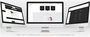 Web Design by Atlas for S.T.I.L. Consulting | Design: #3616985