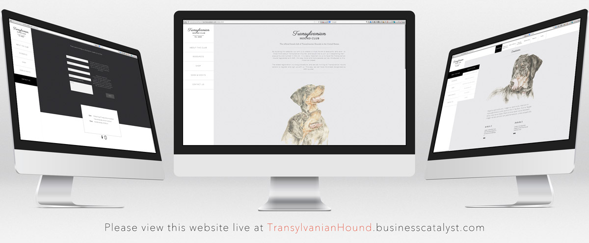 Web Design by Atlas for S.T.I.L. Consulting | Design #3616987