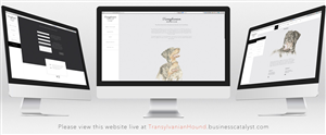 Web Design by Atlas for S.T.I.L. Consulting | Design: #3616987