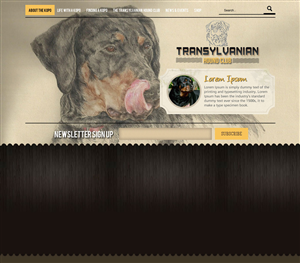Web Design by Vblue