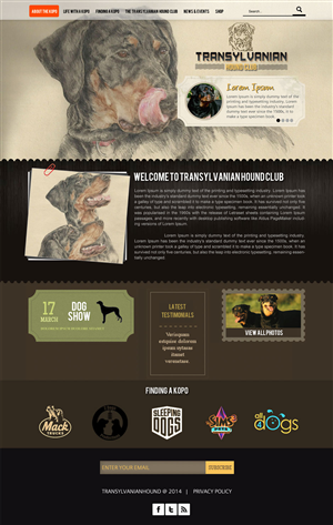 Web Design by Vblue for S.T.I.L. Consulting | Design: #3798039