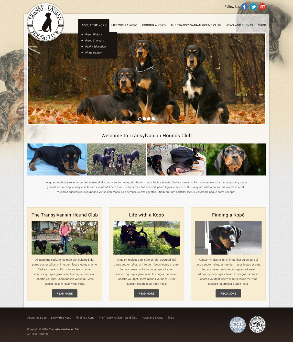 Web Design by Atom for S.T.I.L. Consulting | Design #3707645