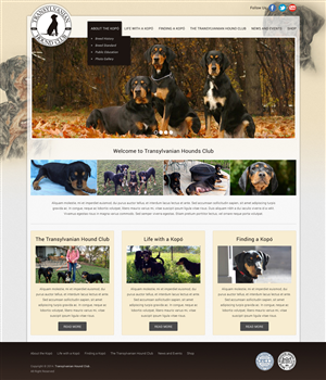 Web Design by Atom for S.T.I.L. Consulting | Design: #3707645