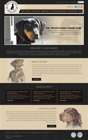 Web Design by Atom for S.T.I.L. Consulting | Design: #3769908