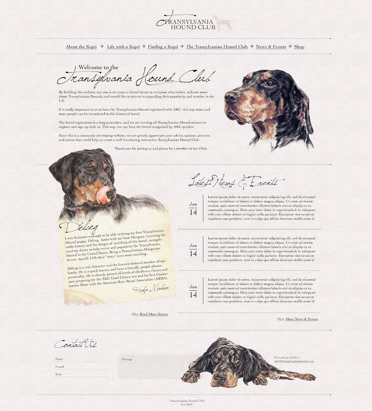 Web Design by pfeng for S.T.I.L. Consulting | Design #3672412