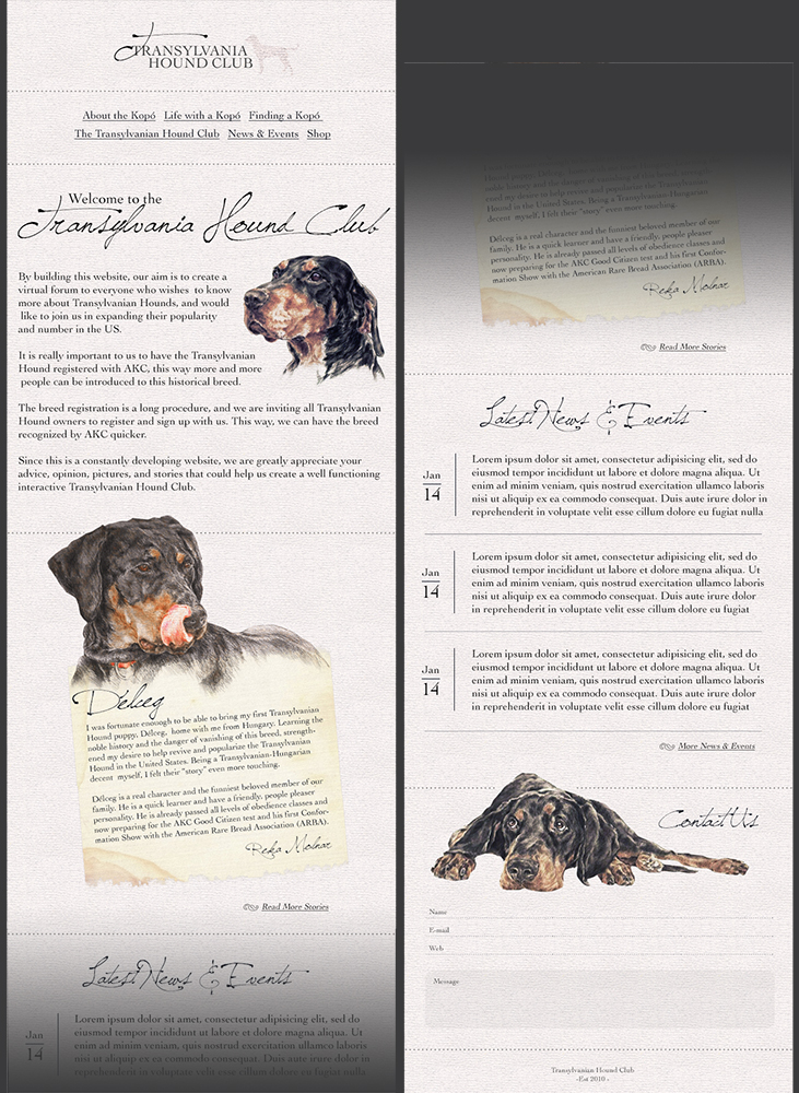 Web Design by pfeng for S.T.I.L. Consulting | Design #3672465