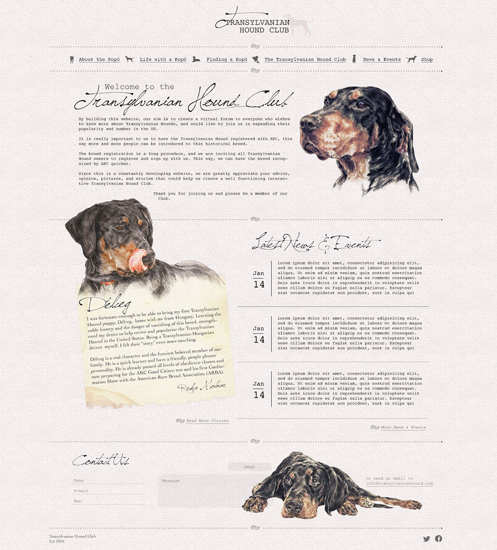 Web Design by pfeng for S.T.I.L. Consulting | Design #3696405