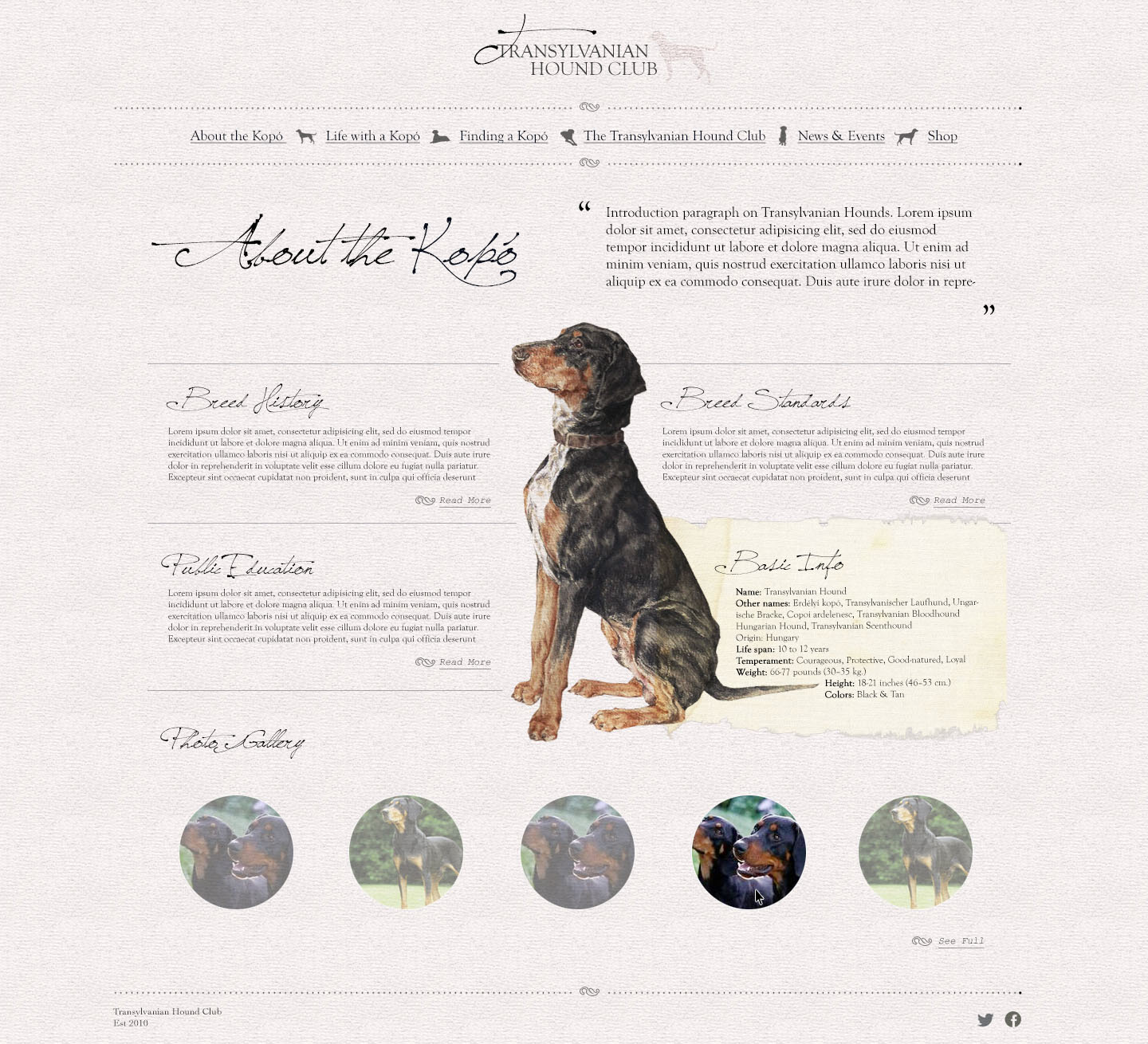 Web Design by pfeng for S.T.I.L. Consulting | Design #3702329