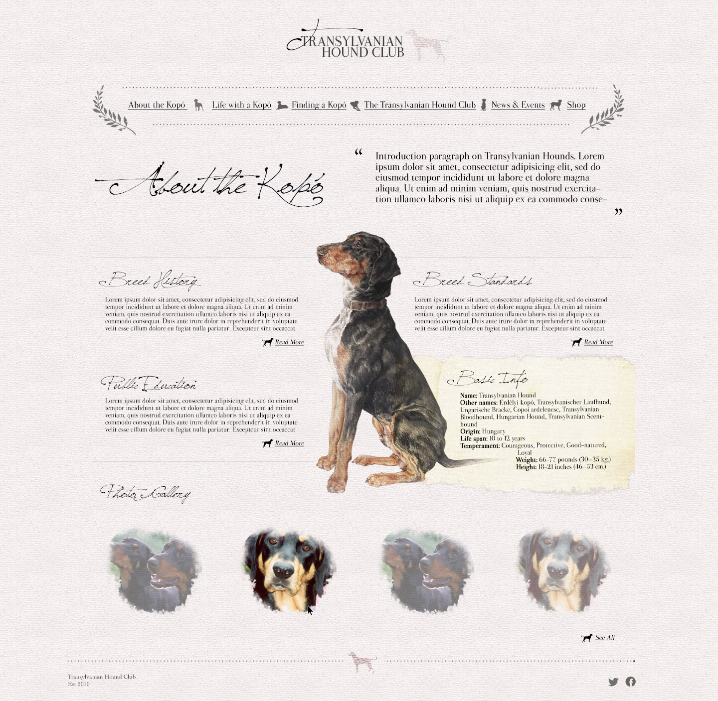 Web Design by pfeng for S.T.I.L. Consulting | Design #3753430