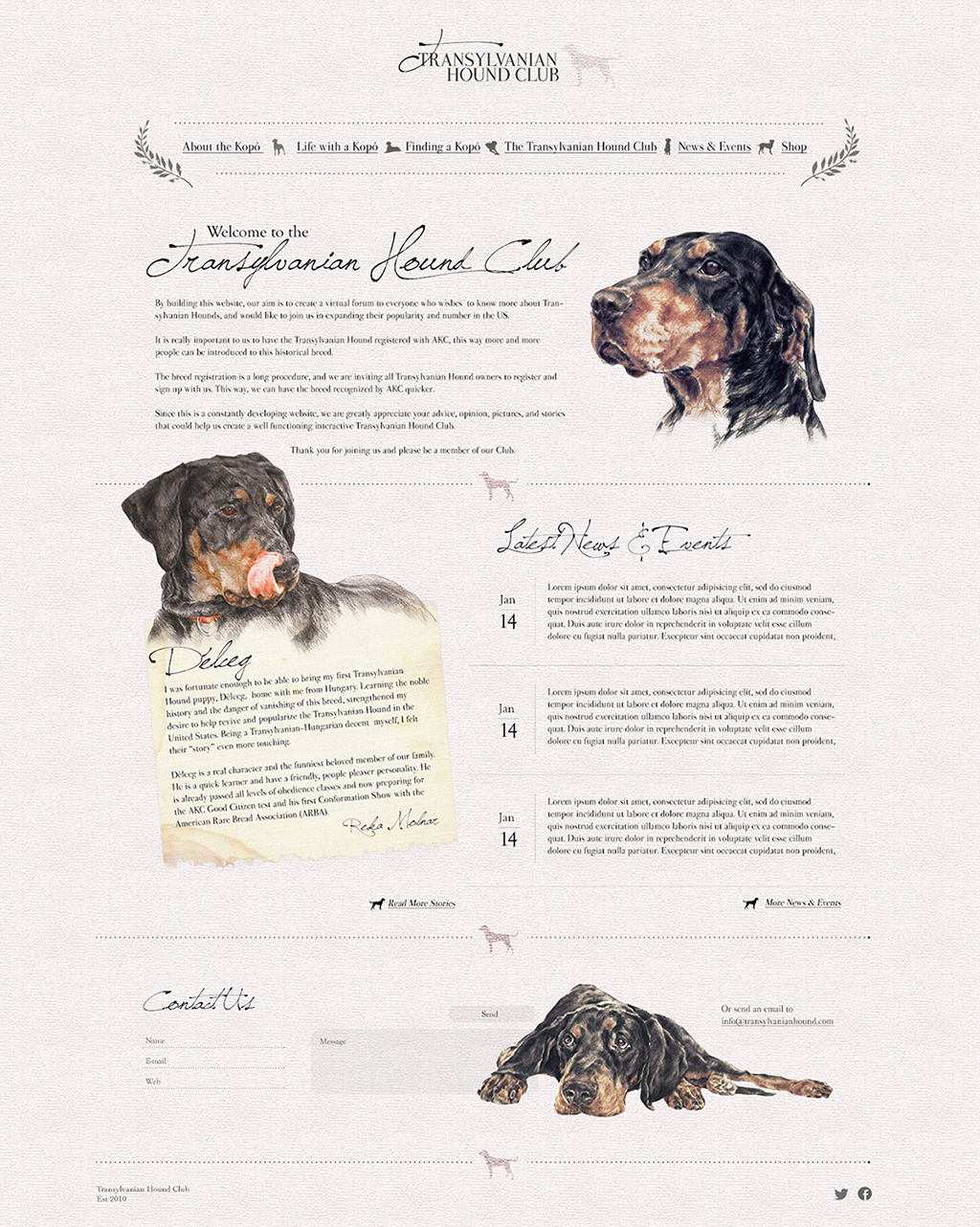 Web Design by pfeng for S.T.I.L. Consulting | Design #3753458