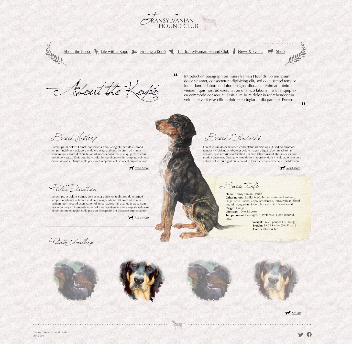 Web Design by pfeng for S.T.I.L. Consulting | Design #3753461