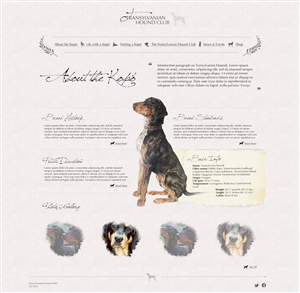 Web Design par pfeng pour S.T.I.L. Consulting | Design : #3753461