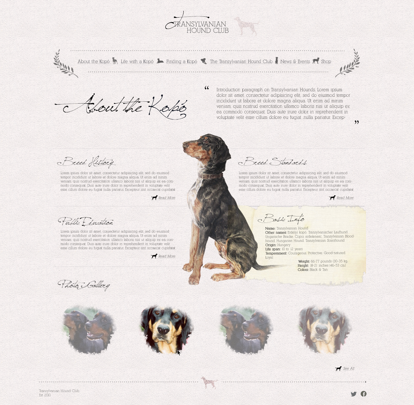 Web Design by pfeng for S.T.I.L. Consulting | Design #3753464