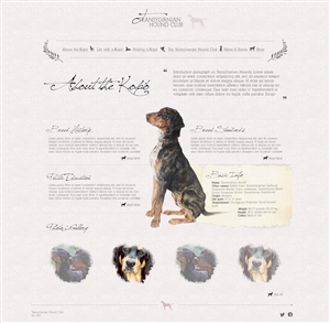 Web Design par pfeng pour S.T.I.L. Consulting | Design : #3753464