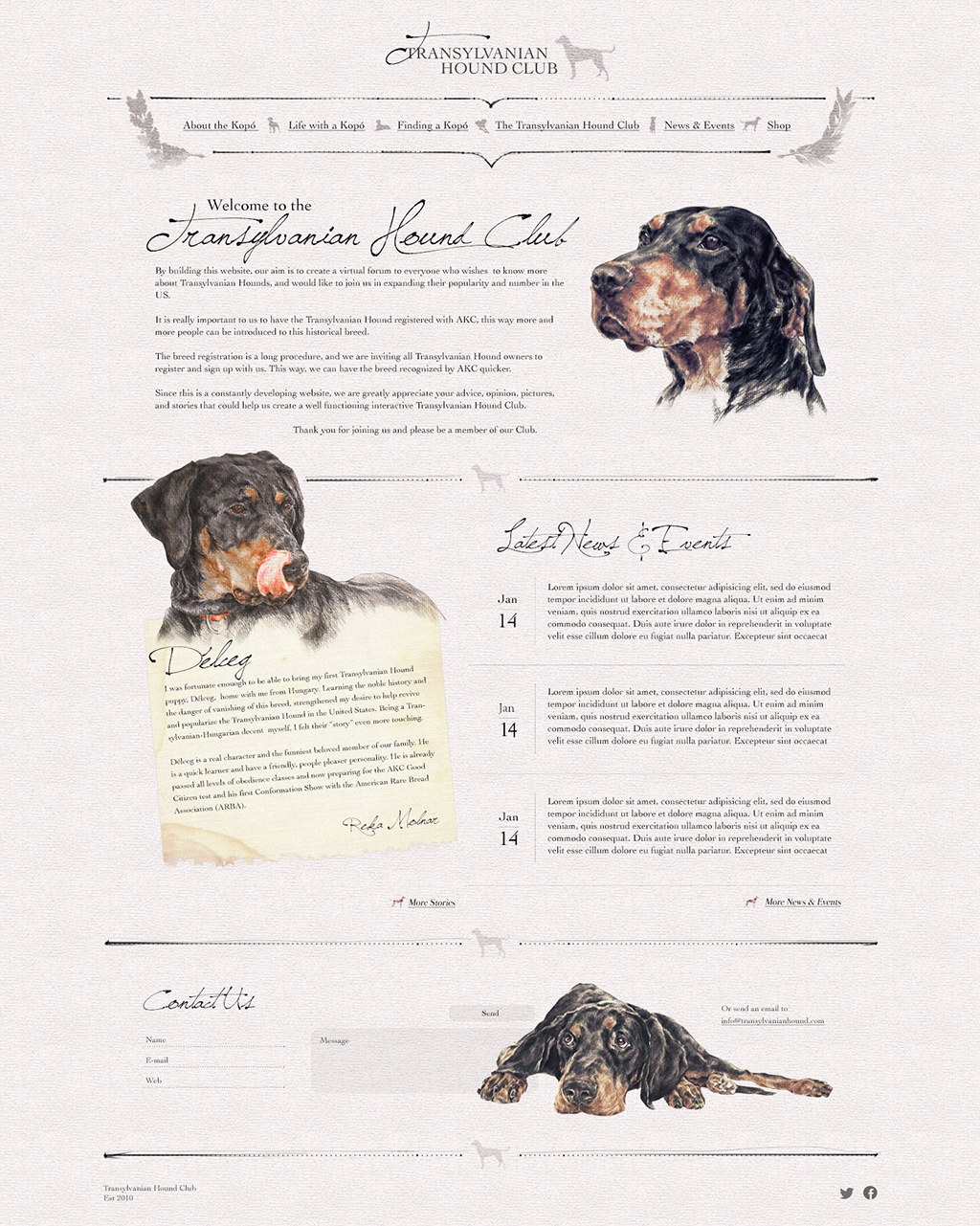 Web Design par pfeng pour S.T.I.L. Consulting | Design #3837777