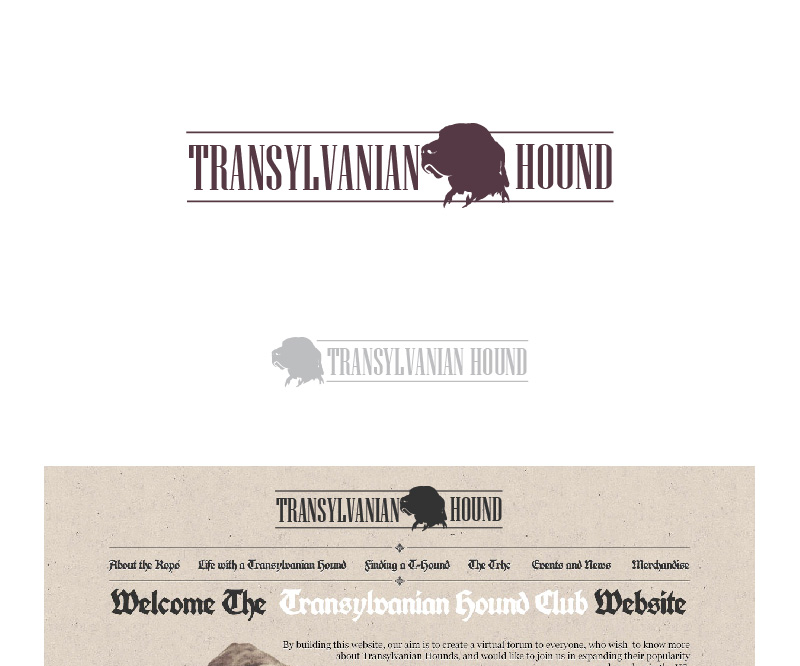 Web Design by TechWise for S.T.I.L. Consulting | Design #3650046