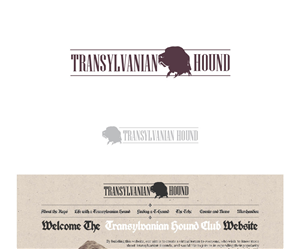 Web Design par TechWise pour S.T.I.L. Consulting | Design #3650046