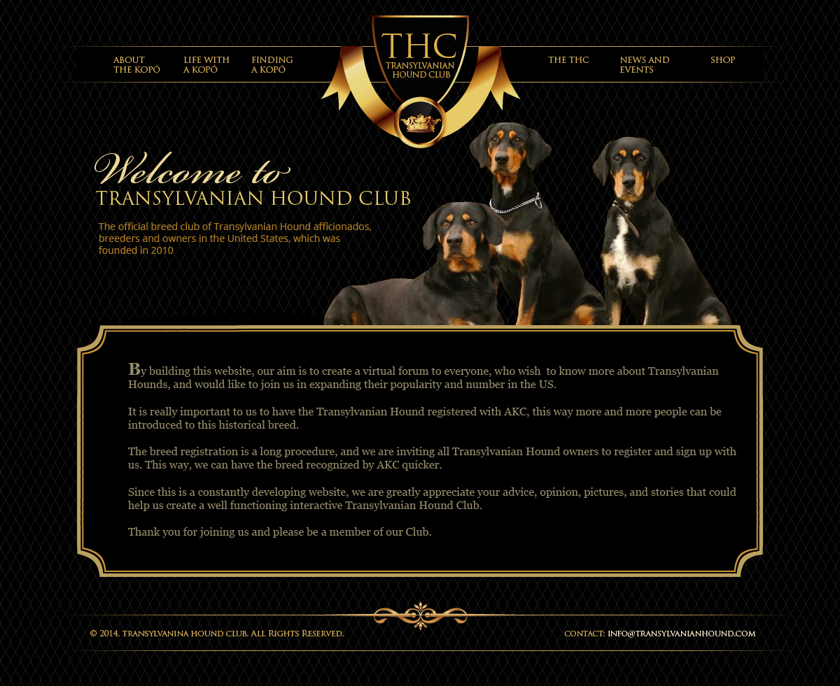 Web Design par jeckx2 pour S.T.I.L. Consulting | Design #3812518
