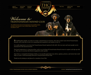 Web Design par jeckx2 pour S.T.I.L. Consulting | Design : #3812518