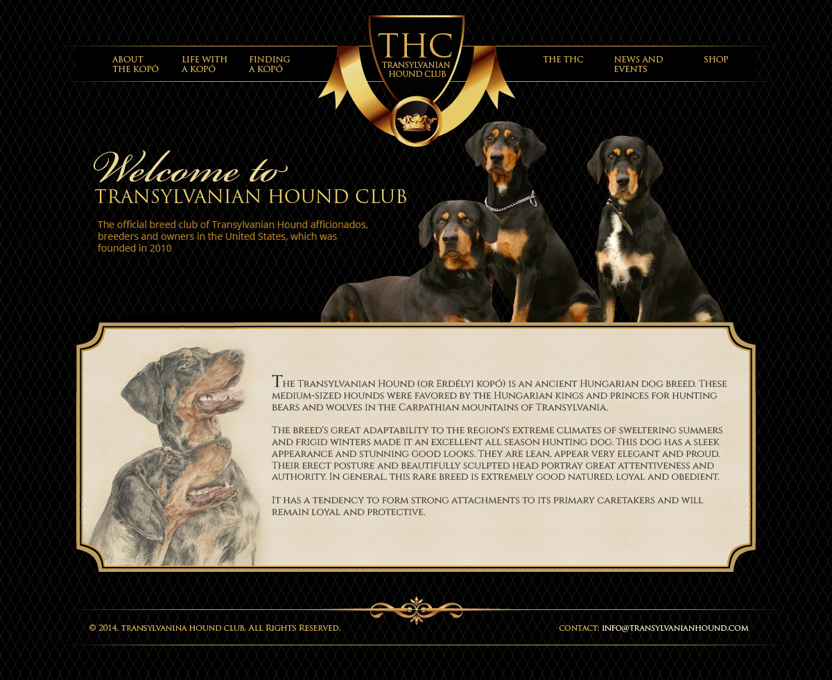 Web Design par jeckx2 pour S.T.I.L. Consulting | Design #3814983