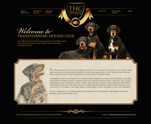 Web Design par jeckx2 pour S.T.I.L. Consulting | Design #3814983