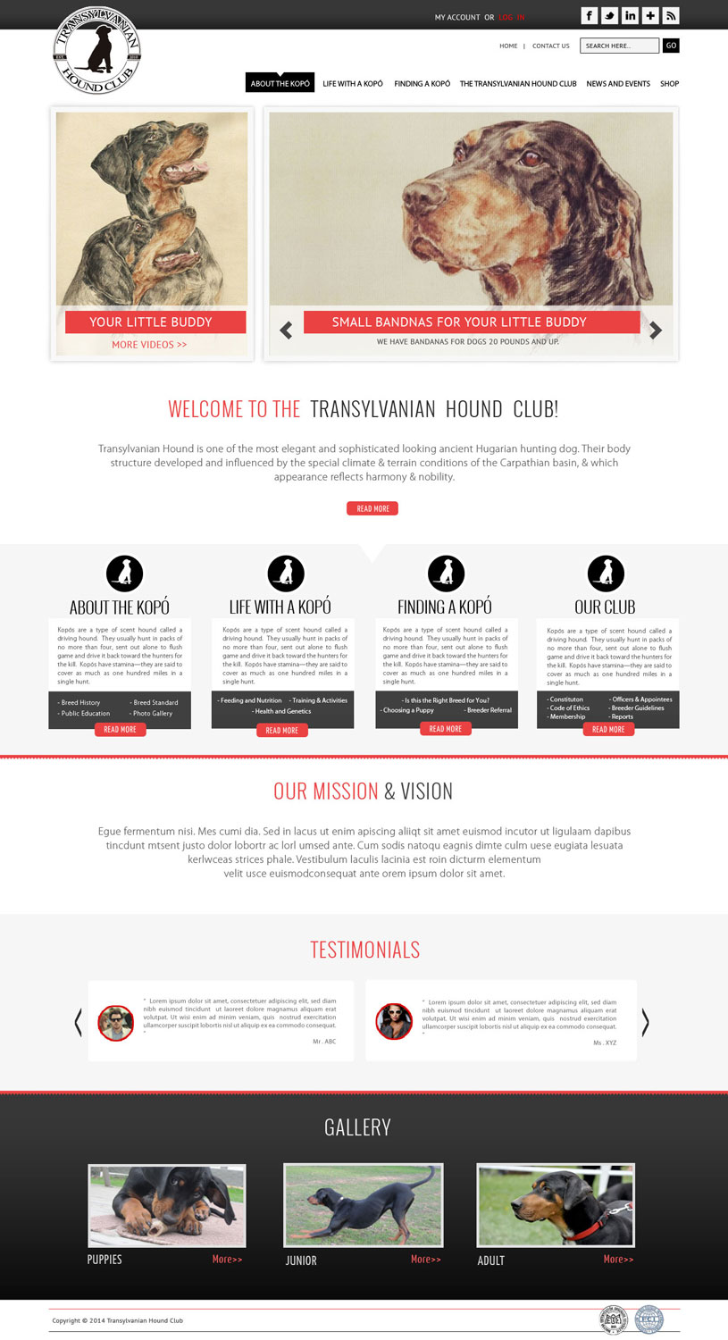 Web Design by Sukrutisolutions for S.T.I.L. Consulting | Design #3727622