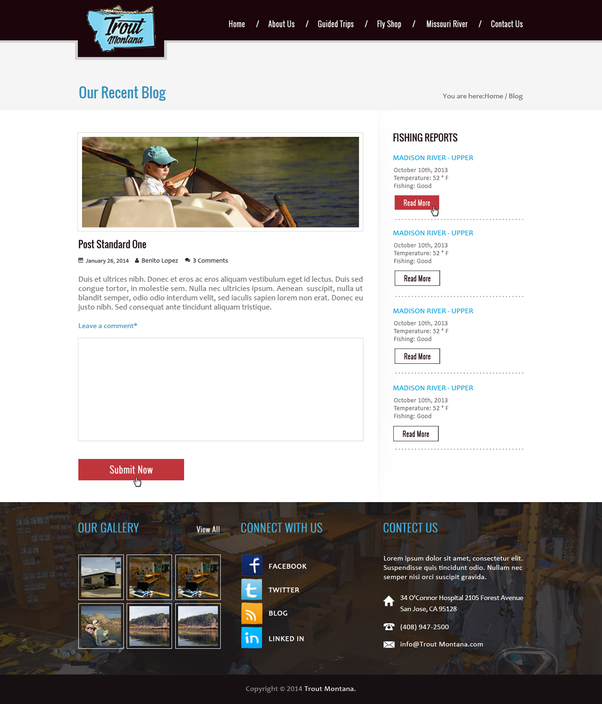 Web-Design von Desire Design Solutions für PageTree | Design #3651282