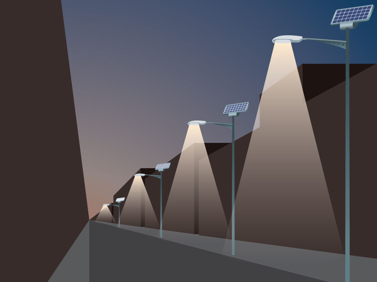 Illustration Design by Kings Bishop Design for this project | Design #908100