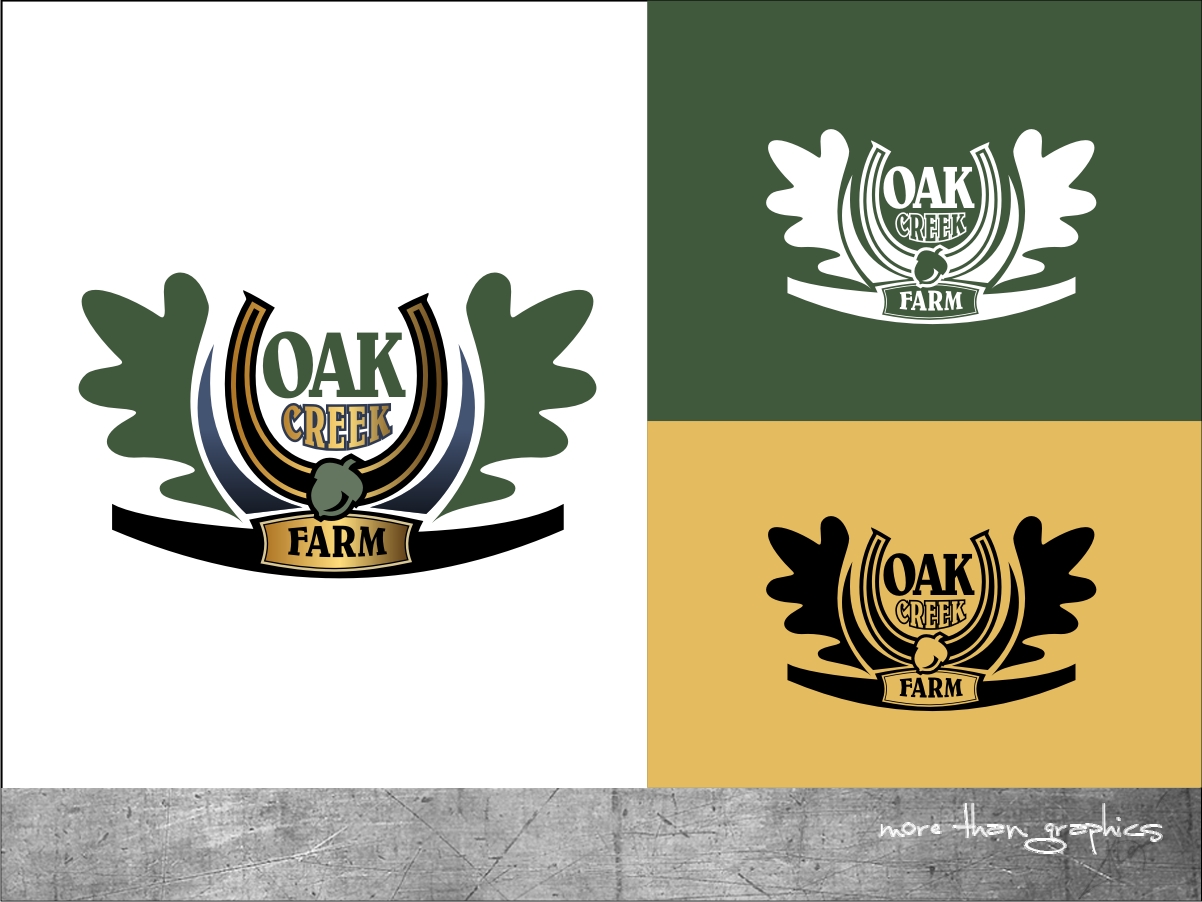 Graphic Design by vladst2004 for this project | Design #3544660