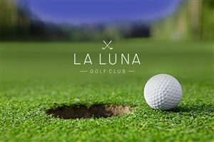 Design de Logo par Rafael Martyres pour ce projet | Design : #3545719