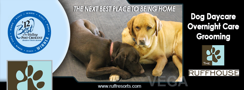 Facebook Design by VEGA-Designs for this project | Design #3558787