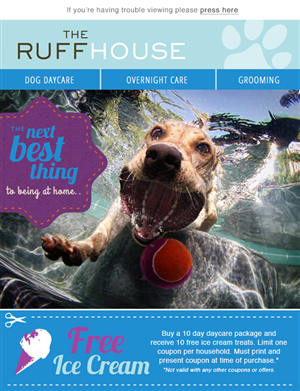 Newsletter Design by Scarletta