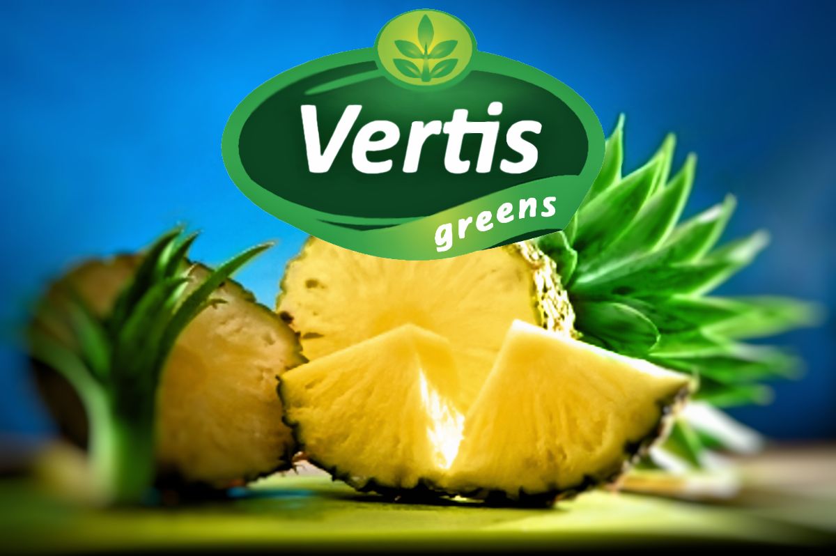 Packaging Design by cberry for Vertis Foods RO5221452 | Design #3560268