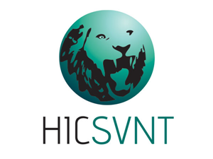 Logo Design by Helaina