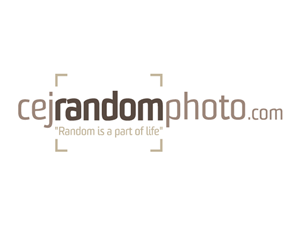 Logo Design by Anthony for cejrandomphoto | Design #894245