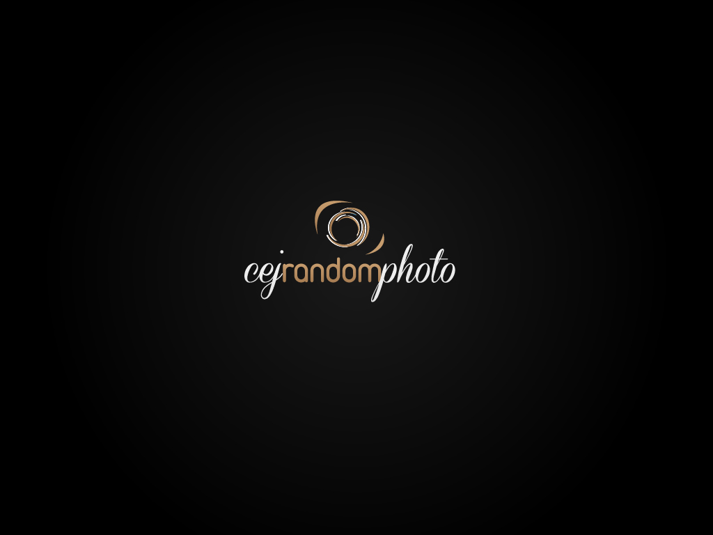 Logo Design by DesigNart for cejrandomphoto | Design #893291