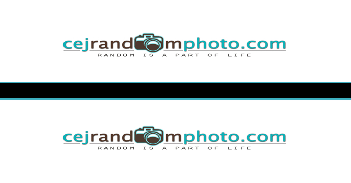 Logo Design by zzafra for cejrandomphoto | Design: #905035